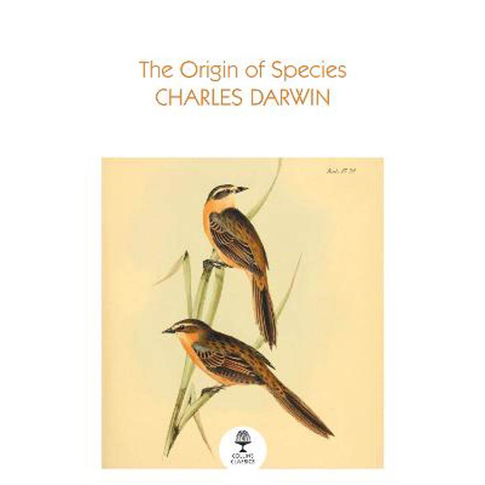 The Origin of Species (Collins Classics) (Paperback) - Charles Darwin